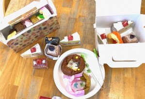 2026.2.6ドーナツケーキホンモノみたいです